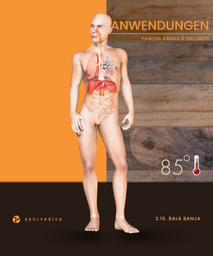 Bala-Banja-Ayurveda-Massage-Ernährung-Doshas-Bamberg-Erlangen–Nürnberg-Coburg-Bayreuth-Würzburg-Ayurvedica-25x30cm